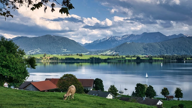 Forggensee