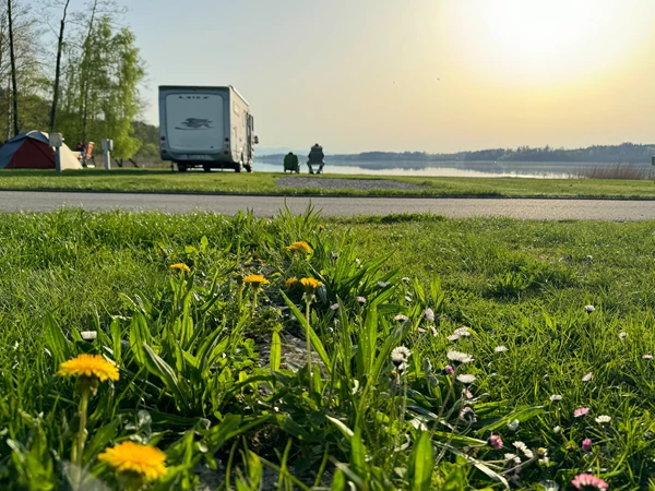 Staanplaats met uitzicht op het meer op Camping Stein