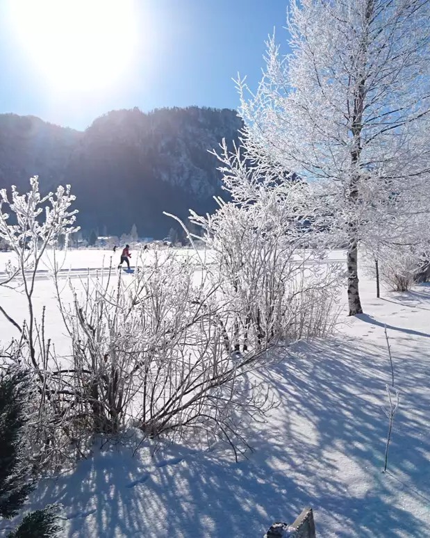 Chiemgau in winter - Camping Lindlbauer