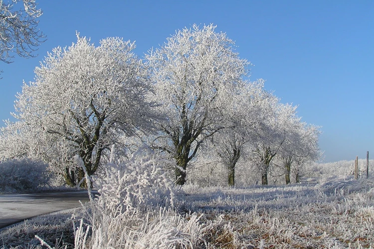 Winter camping paradise Franconia and surroundings