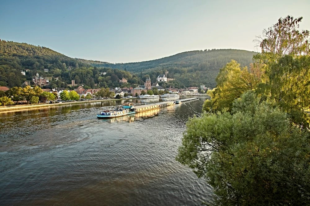 Groen droomlandschap