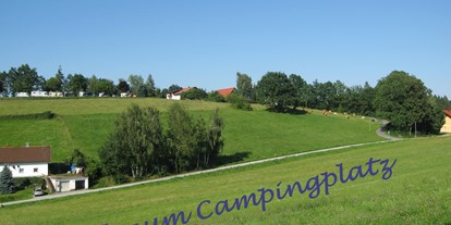 Campingplätze - Grillen mit Holzkohle möglich - Bayerischer Wald - Camping auf dem Kapfelberg