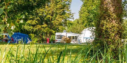 Campingplätze - Grillen mit Holzkohle möglich - Bayern - Campingplatz Ludwigshof am See