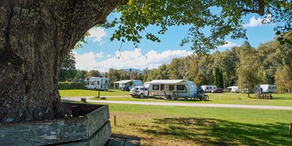 Campingplätze - Partnerbetrieb des Landesverbands - Uffing am Staffelsee - Camping Aichalehof