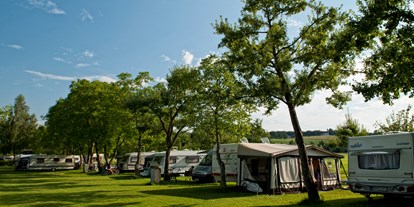 Campingplätze - Bootsverleih - Frühsommer am Camping Schwanenplatz - Camping Schwanenplatz