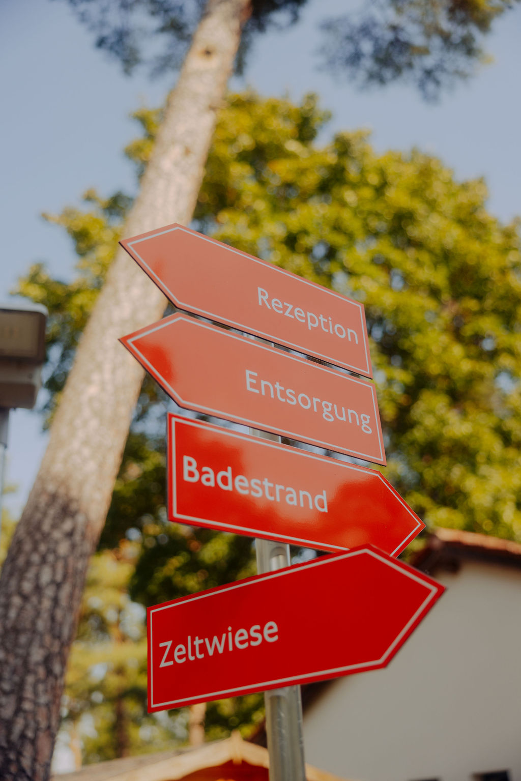 campsite - AZUR Waldcamping Ingolstadt in Bayern