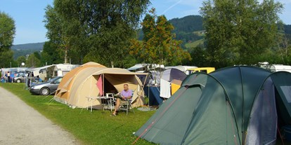 Campingplätze - Liegt am See - Deutschland - Auch für unsere Zeltliebhaber haben wir Plätze. Sie finden bei uns keine große Zeltwiese, sondern parzelierte Zeltplätze für Ihr Zelt mit Auto.  - Camping Zeh am See/ Allgäu