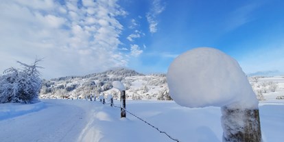Campingplätze - Baden in natürlichen Gewässern - Deutschland - Verschneite Aussichten. Die Einfahrt zum Campingplatz mit Aussicht auf den Stoffelberg.  - Camping Zeh am See/ Allgäu