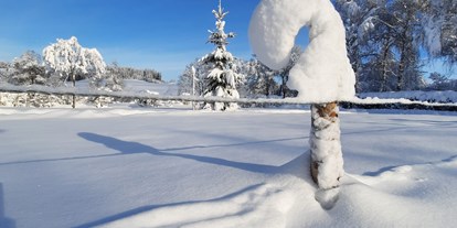 Campingplätze - Kinderanimation: nicht vorhanden - Allgäu / Bayerisch Schwaben - Unsere verschneite Zeltwiese im Winter.  - Camping Zeh am See/ Allgäu