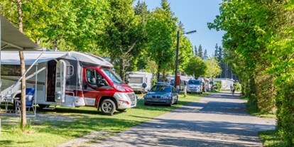Campingplätze - Separater Gruppen- und Jugendstellplatz - Deutschland - Campingplatz Elbsee