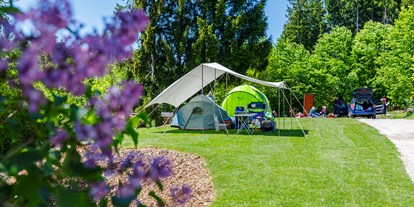 Campingplätze - Fahrradtouren vom Platz - Allgäu / Bayerisch Schwaben - Campingplatz Elbsee