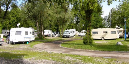 Campingplätze - TV-Anschluss am Stellplatz - Allgäu / Bayerisch Schwaben - Park-Camping Lindau am See