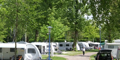 Campingplätze - TV-Anschluss am Stellplatz - Allgäu / Bayerisch Schwaben - Park-Camping Lindau am See