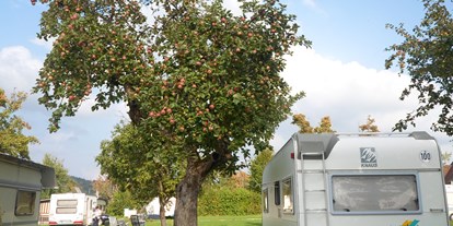 Campingplätze - Bänke und Tische für Zelt-Camper - Bayern - Im Herbst ist das Sammeln von Obst von unseren alten Obstbäume möglich - Camping Bergesruh