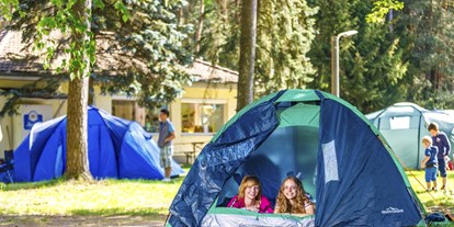 Campingplätze - Hunde möglich:: in der Hauptsaison - Roth (Landkreis Roth) - Gruppen mit Zelt finden auf unserer Zeltwiese Platz. - Camping Waldsee 