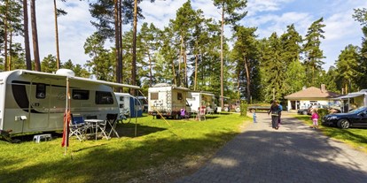 Campingplätze - Hunde möglich:: in der Hauptsaison - Roth (Landkreis Roth) - Für Wohnmobile, Wohnwagen, Campingbusse und Zelte bieten wir Komfort- und Standardstellplätze an. - Camping Waldsee 