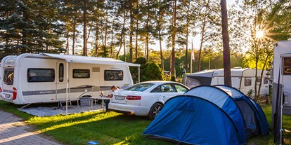 Campingplätze - Kinderspielplatz am Platz - Franken - Camping Waldsee GmbH & Co. KG