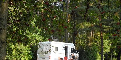 Campingplätze - Liegt am See - Pleinfeld - Waldcamping Brombach e.K.