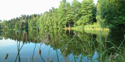 Campingplätze - Geschirrspülbecken - Ostbayern - See-Camping Weichselbrunn