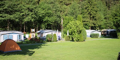 Campingplätze - Kinderspielplatz am Platz - Ostbayern - Campinplatz Schweinmühle