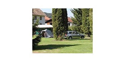 Campingplätze - Grillen mit Holzkohle möglich - Bayerischer Wald - Kanu&Camping Blaibach