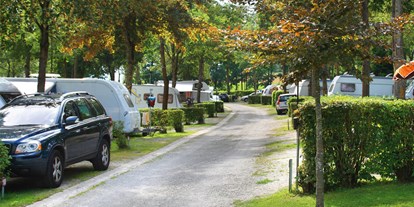Campingplätze - Mietbäder - Unsere geräumigen Standard-Standplätze auf unserer Anlage. - Kur- & Feriencamping Holmernhof Dreiquellenbad