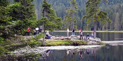 Campingplätze - Wasserrutsche - Bayerischer Wald - Ferienhof Schiermeier