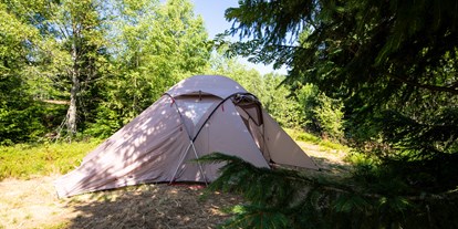 Campingplätze - Grillen mit Holzkohle möglich - Bayerischer Wald - Wildcamping-Feeling - Anderswo Camp