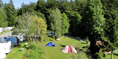 Campingplätze - Langlaufloipe - Bayerischer Wald - Sommer- und Wintercamping am Nationalpark