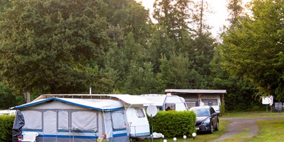 Campingplätze - Hundewiese - Campingplatz Stadtsteinach