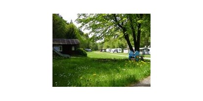 Campingplätze - Grillen mit Holzkohle möglich - Franken - Camping Waldmühle