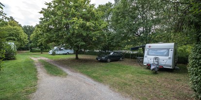 Campingplätze - Kinderspielplatz am Platz - Spessart Camping Schönrain