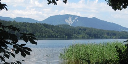 Campingplätze - Baden in natürlichen Gewässern - Oberbayern - Camping Halbinsel Burg