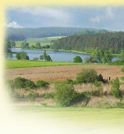 Campingplatz - Campingplatz Dennenloher See