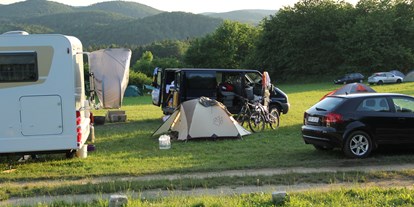 Campingplätze - Grillen mit Holzkohle möglich - Franken - Campingplatz Moritz