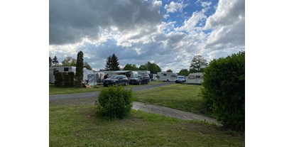 Campingplätze - Baden in natürlichen Gewässern - Zellingen - der Campingplatz - Main Camp Resort