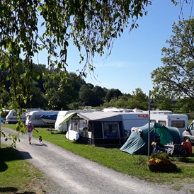 Campingplatz: keine Einfassungshecken - Campingplatz Mainufer