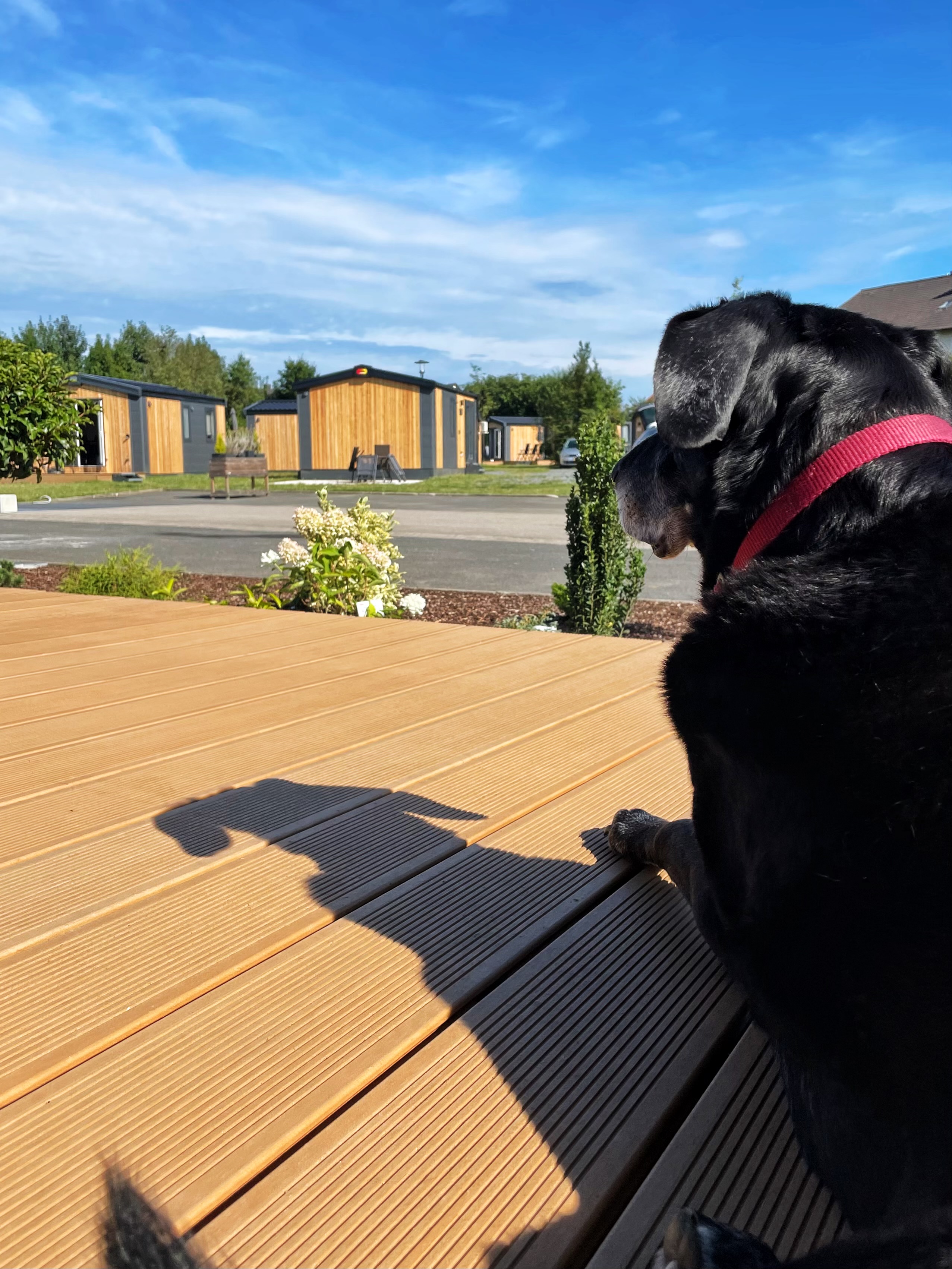 Campingplatz: Campingpark Nabburg Hunde willkommen - Campingpark Nabburg