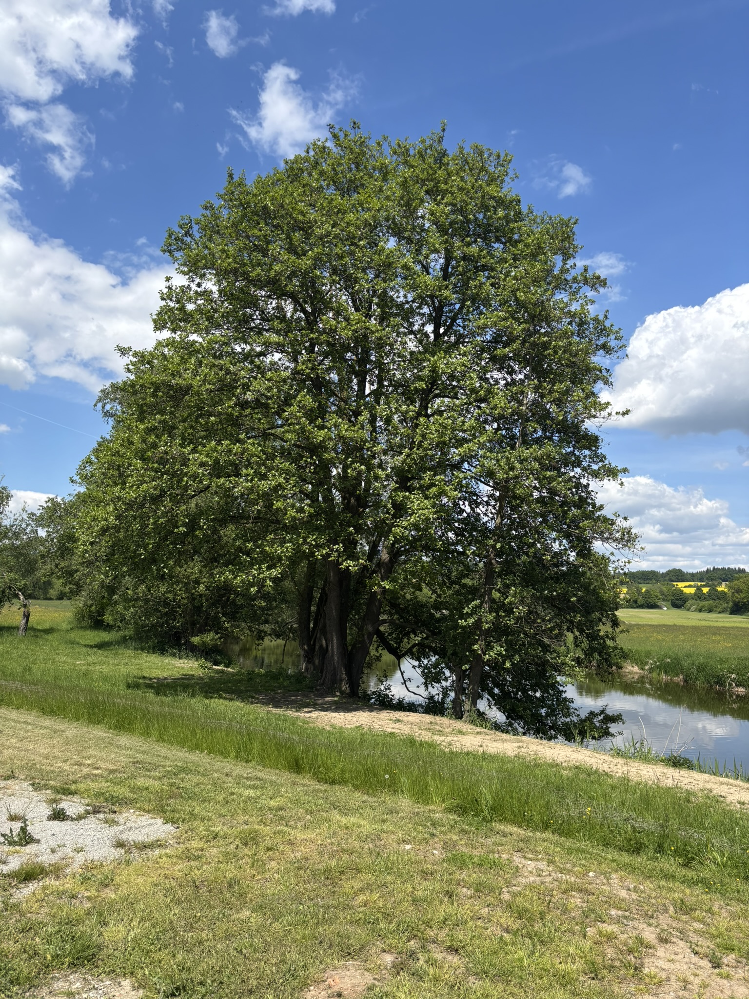 Campingplatz: Wohnmobilstellplatz Hirsch