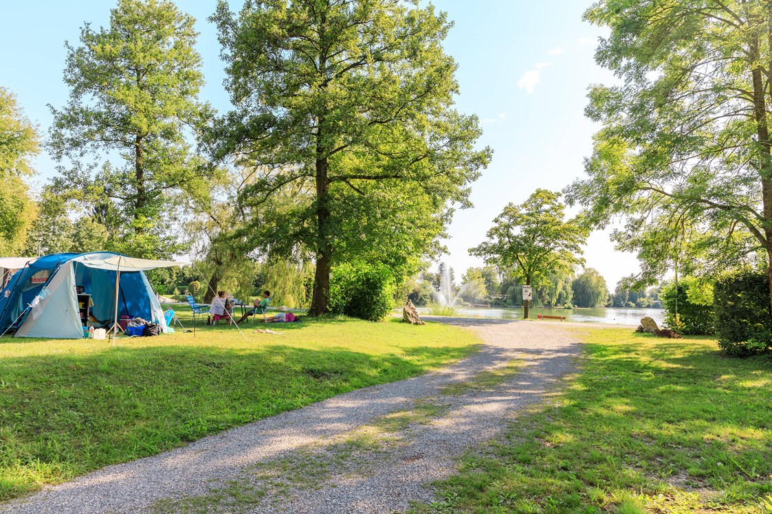 Campingplatz: Campingplatz Ludwigshof am See