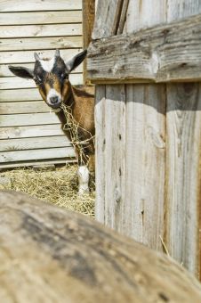 Campingplatz: Campingplatz Schwarzfelder Hof