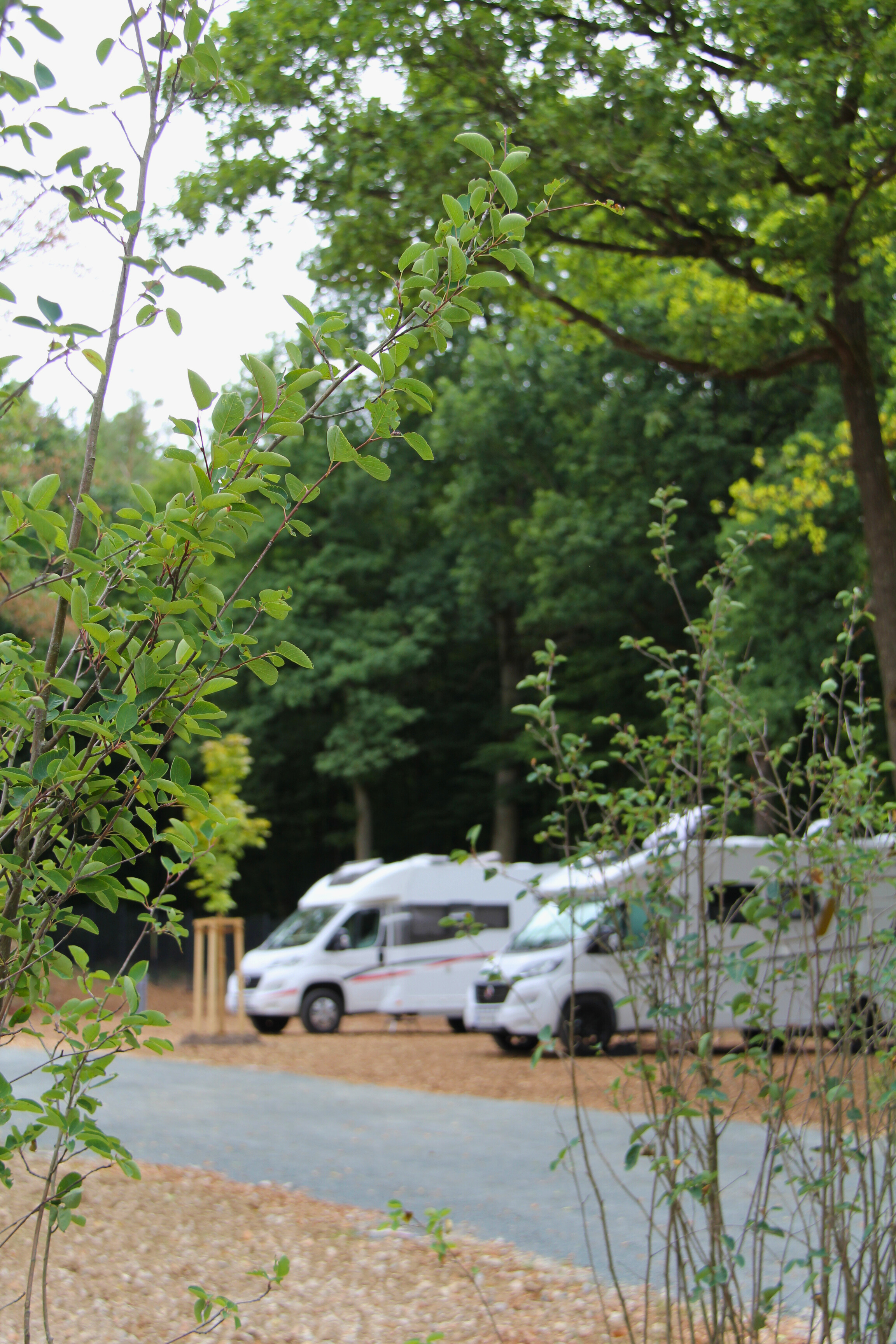 Campingplatz: GlampingPark Schloss Thurn 