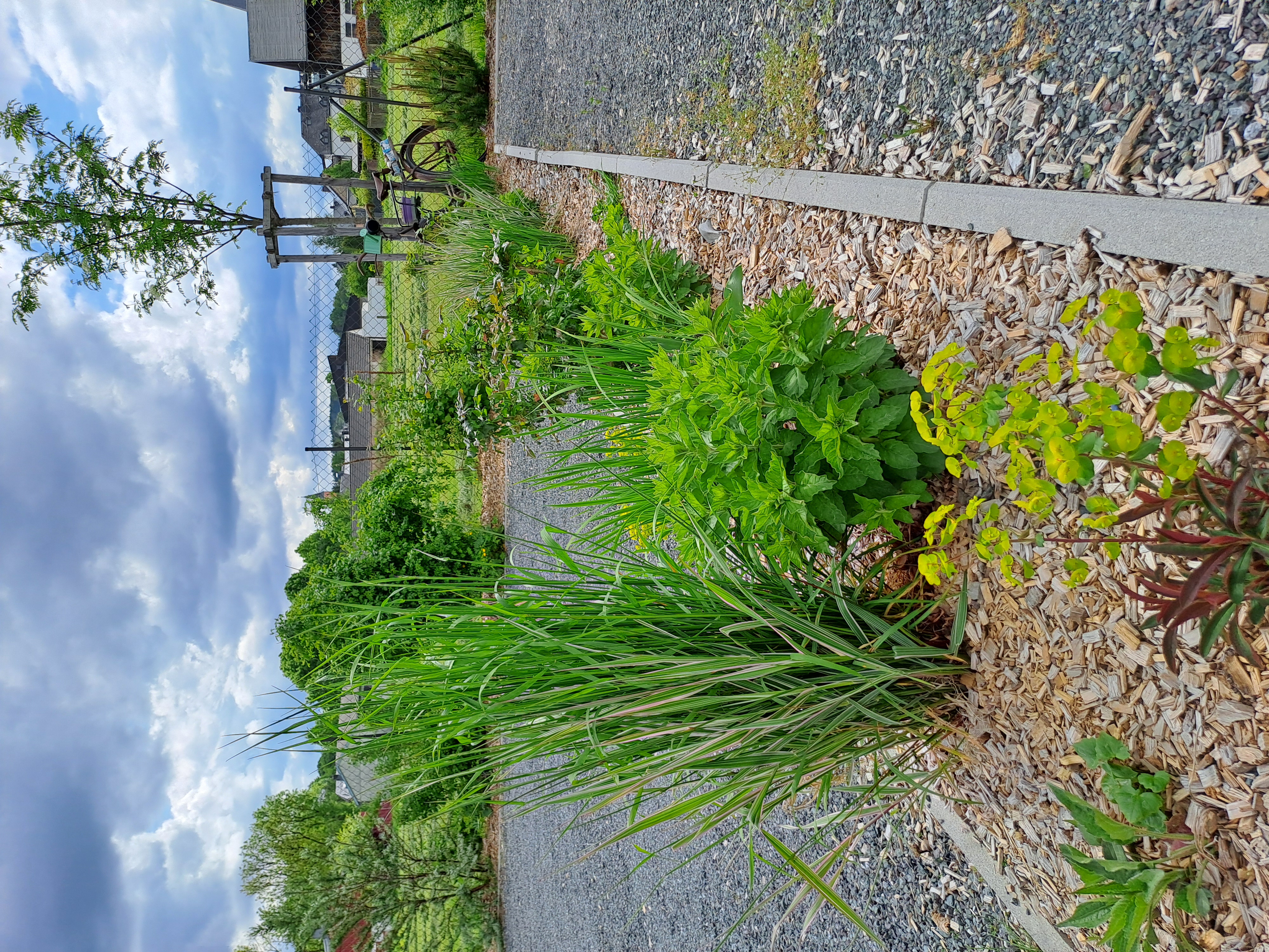 Campingplatz: Fichtelpark