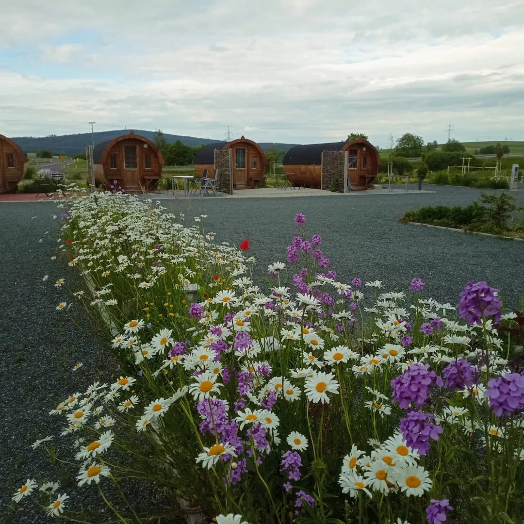Campingplatz: Fichtelpark