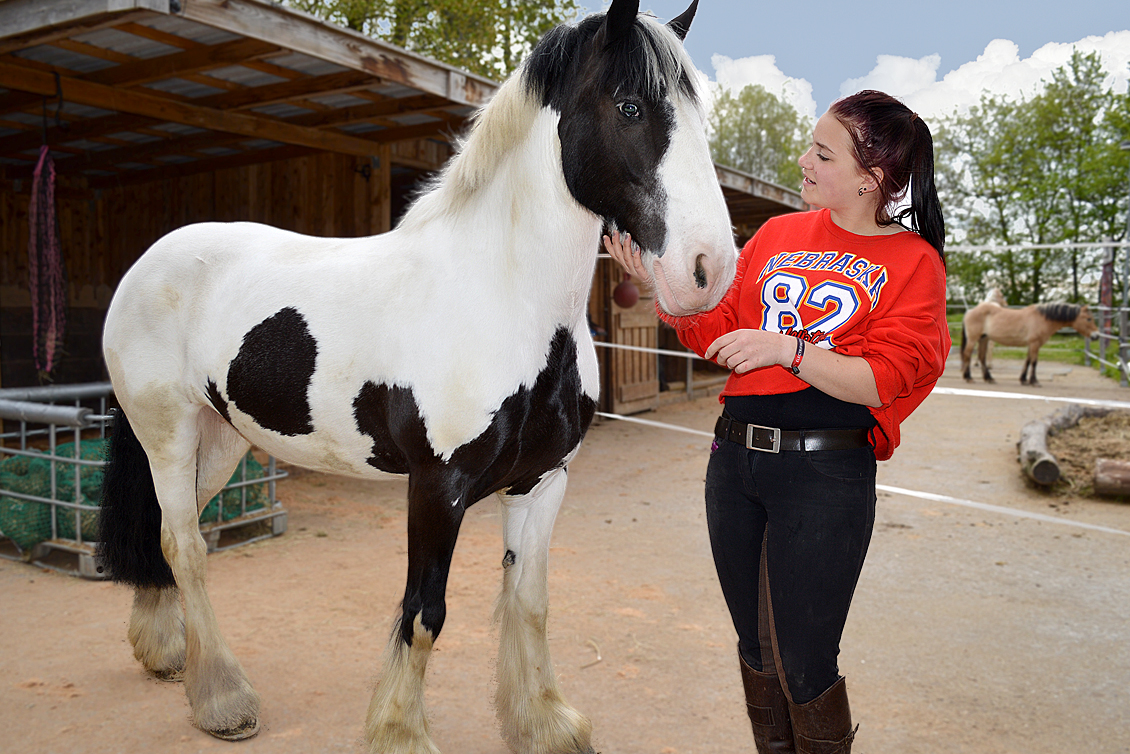 Campingplatz: Kaiser Camping Outdoor Resort