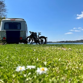 Campingplatz: Eriba Wohnwagen am Seestellplatz mit Fahrrädern und Gänseblümchen - Camping Stein