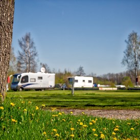 Campingplatz: Ebene Stellplätze für Wohnmobilde und Wohnwagen auf Schotterrasen - Camping Stein