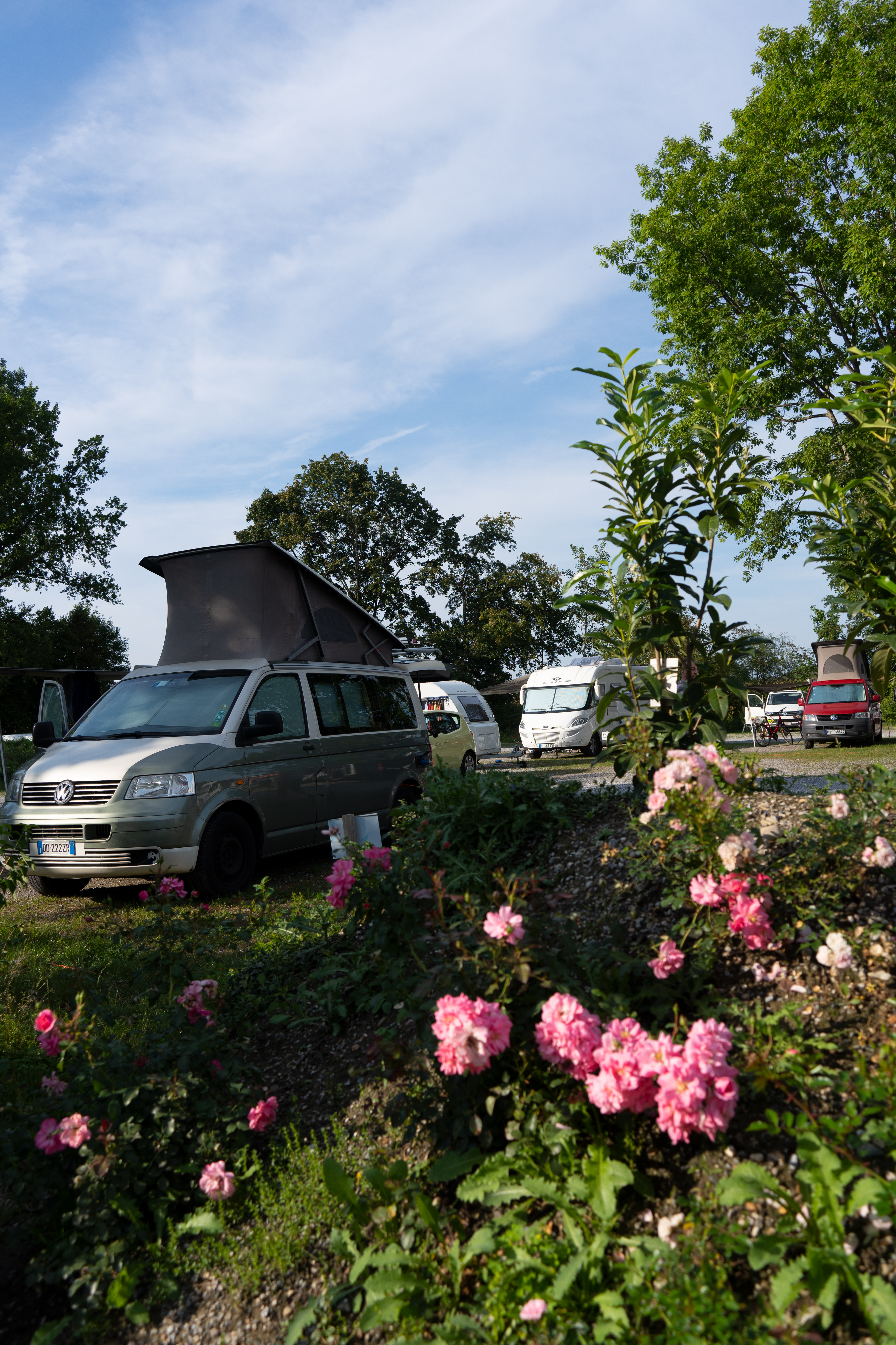 campings - Online buchbar - Oberbayern - Campingplatz Erlensee