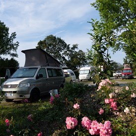 Campingplatz: Campingplatz Erlensee