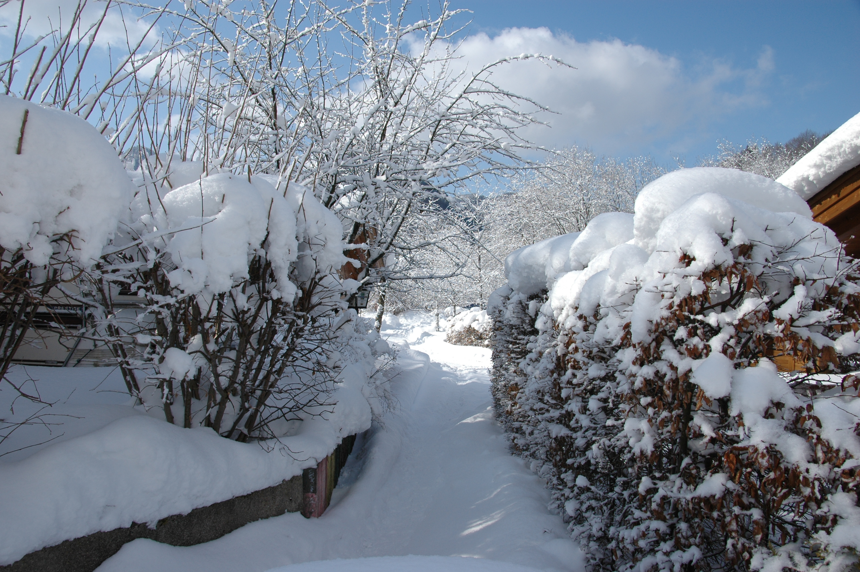 Campingplatz: Camping Litzelau